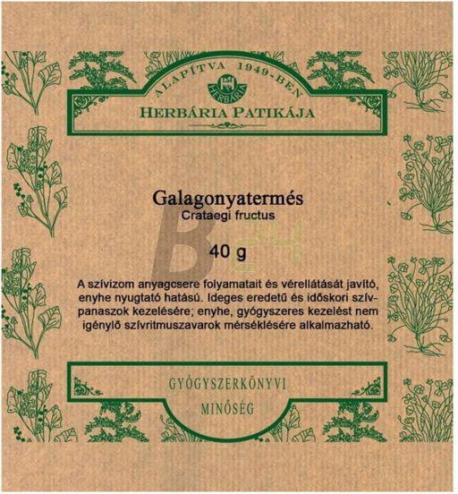 Herbária galagonyatermés 40 g (40 g) ML041248-100-1