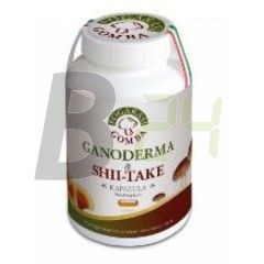 Fogarasi ganoderma shii-take kapszula (90 db) ML070512-16-2