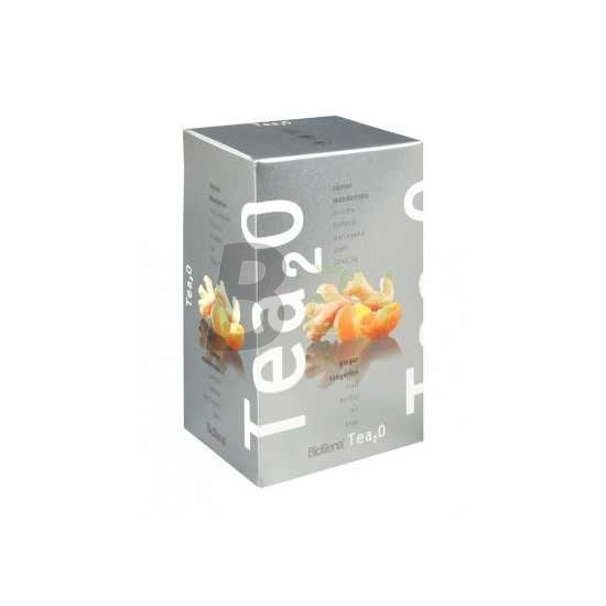 Tea2o gyömbér-mandarin (20 filter) ML074254-38-9